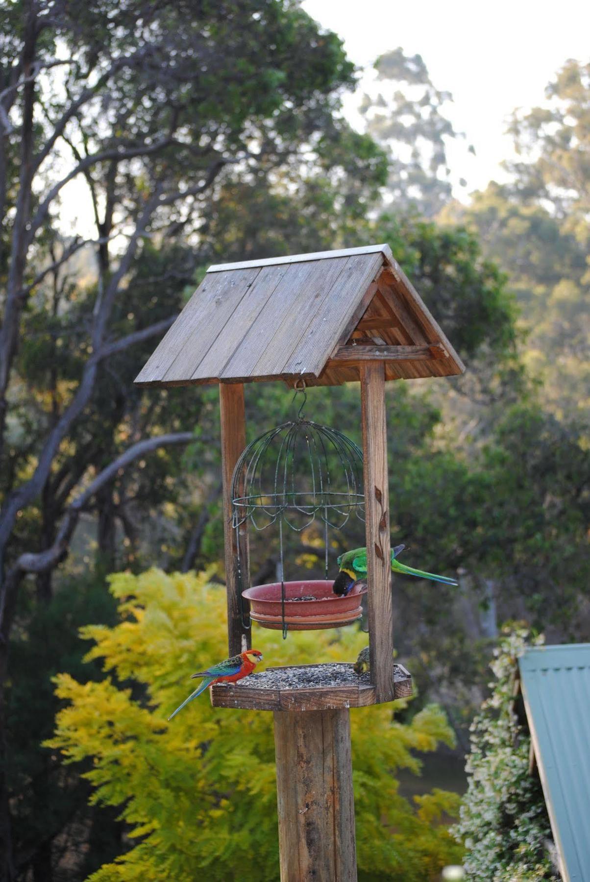 Tweed Valley Lodge Bridgetown Εξωτερικό φωτογραφία